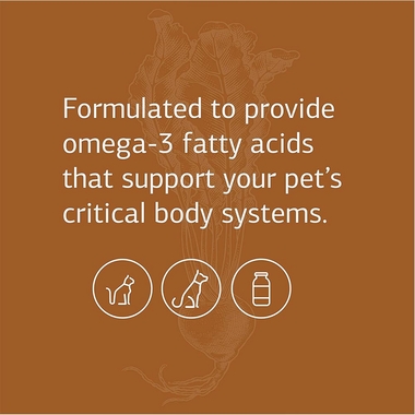 STANDARD-PROCESS-VF-OMEGA-3-90-SOFT-GELS