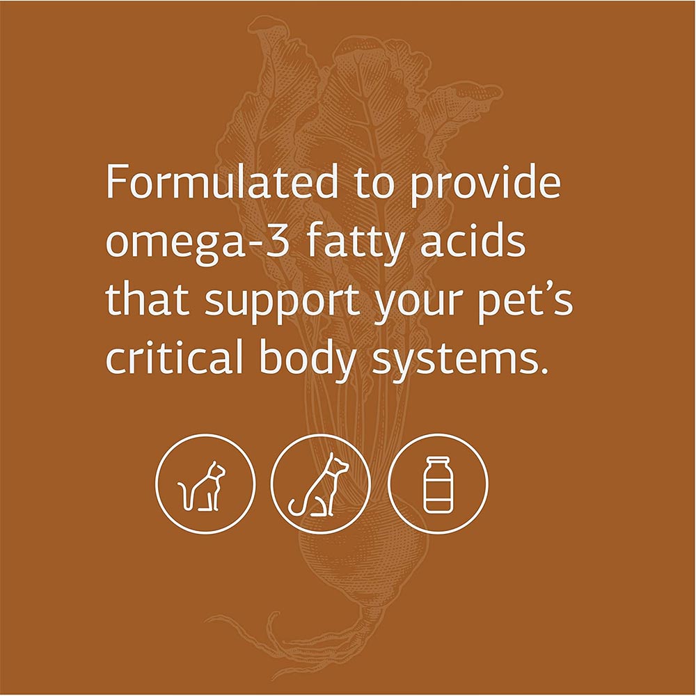 STANDARD-PROCESS-VF-OMEGA-3-90-SOFT-GELS