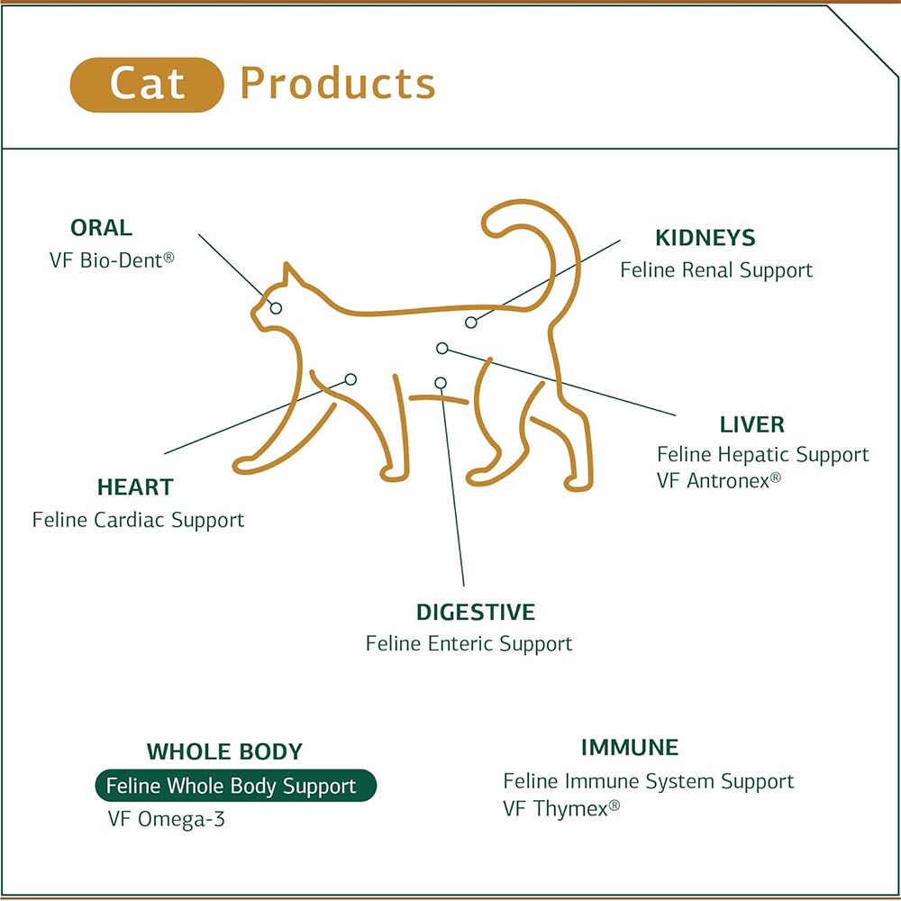 STANDARD-PROCESS-VF-THYMEX-90-TABLETS