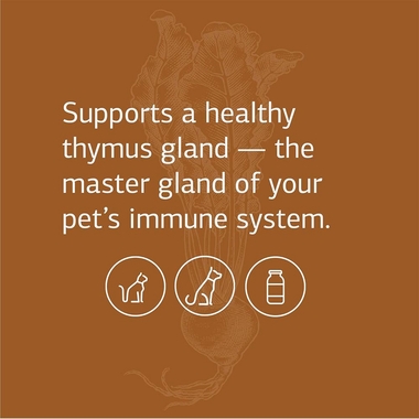 STANDARD-PROCESS-VF-THYMEX-90-TABLETS