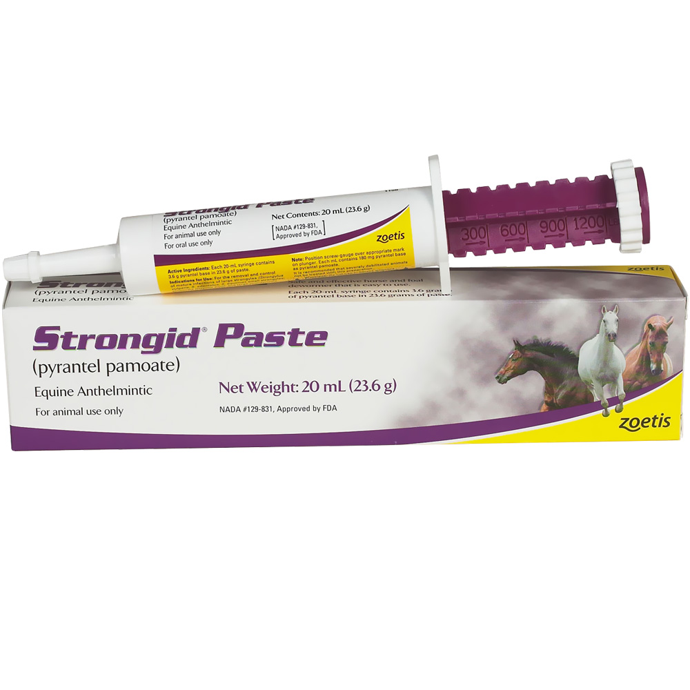 Strongid Paste Syringe