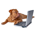 EntirelyPets Reviews