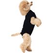 Suitical Recovery Suit for Dogs Black - XSmall
