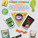 Summer Cat Essentials 