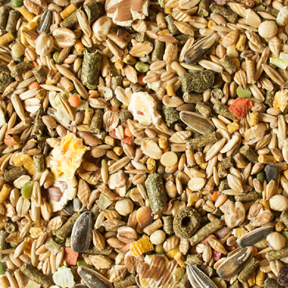 SUNSEED-SUNSATIONS-NATURAL-HAMSTER-GERBIL-FORMULA-2-LBS