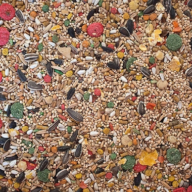 SUNSEED-VITA-COCKATIEL-LOVEBIRD-DIET-2-5-LBS