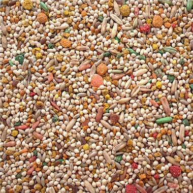 SUNSEED-VITA-PARAKEET-DIET-2-5-LBS