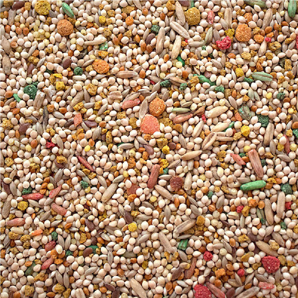 SUNSEED-VITA-PARAKEET-DIET-2-5-LBS
