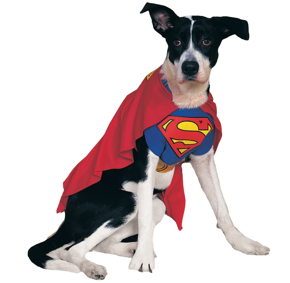 SUPERMAN-DOG-COSTUME-MEDIUM