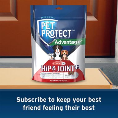 SYNOVIG4-SOFT-CHEWS-FOR-DOGS-120-COUNT