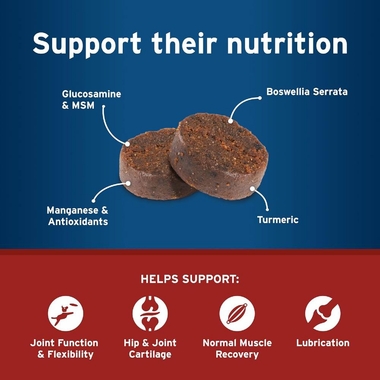 Joint health support for aging and active dogs, occasional joint stiffness, everyday mobility