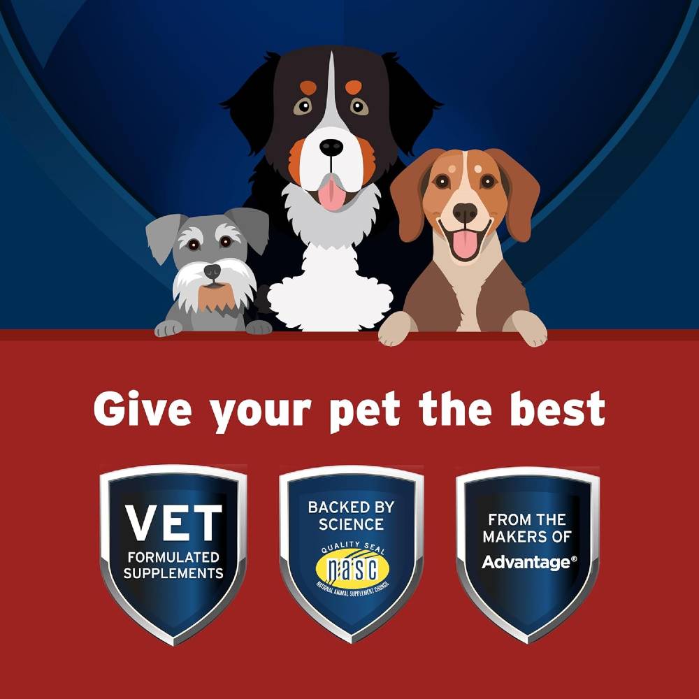 SYNOVIG4-SOFT-CHEWS-FOR-DOGS-60-COUNT