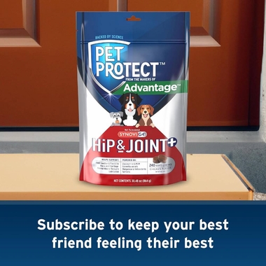 SYNOVIG4-SOFT-CHEWS-FOR-DOGS-60-COUNT