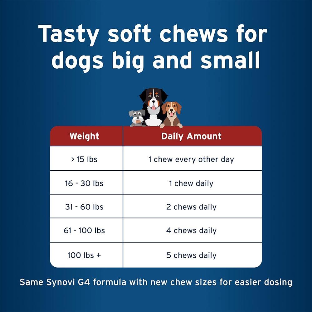 SYNOVIG4-SOFT-CHEWS-FOR-DOGS-120-COUNT