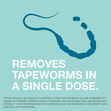 TAPEWORM-DEWORMER-FOR-CATS
