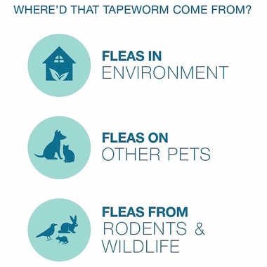TAPEWORM-DEWORMER-FOR-DOGS