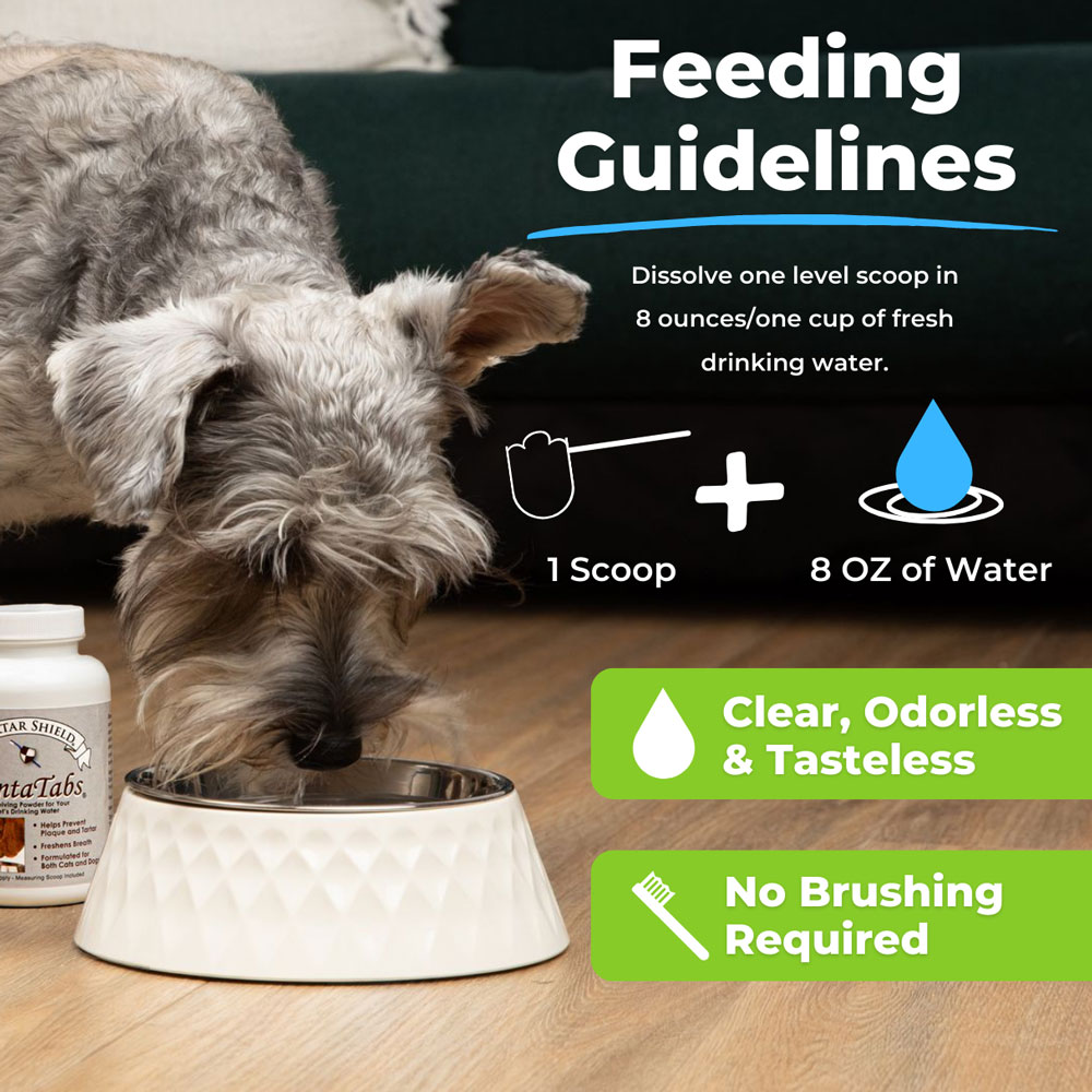 TARTAR-SHIELD-DENTATABS-90-TABLETS