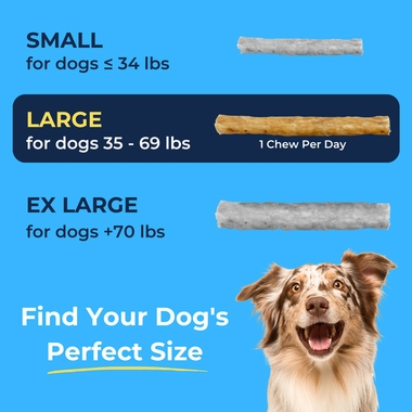 Package with two rawhide chews laying flat against it