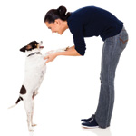 Tell Us What You Think