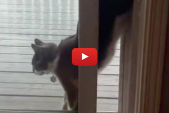 Ten Out Of Ten For Creativity!