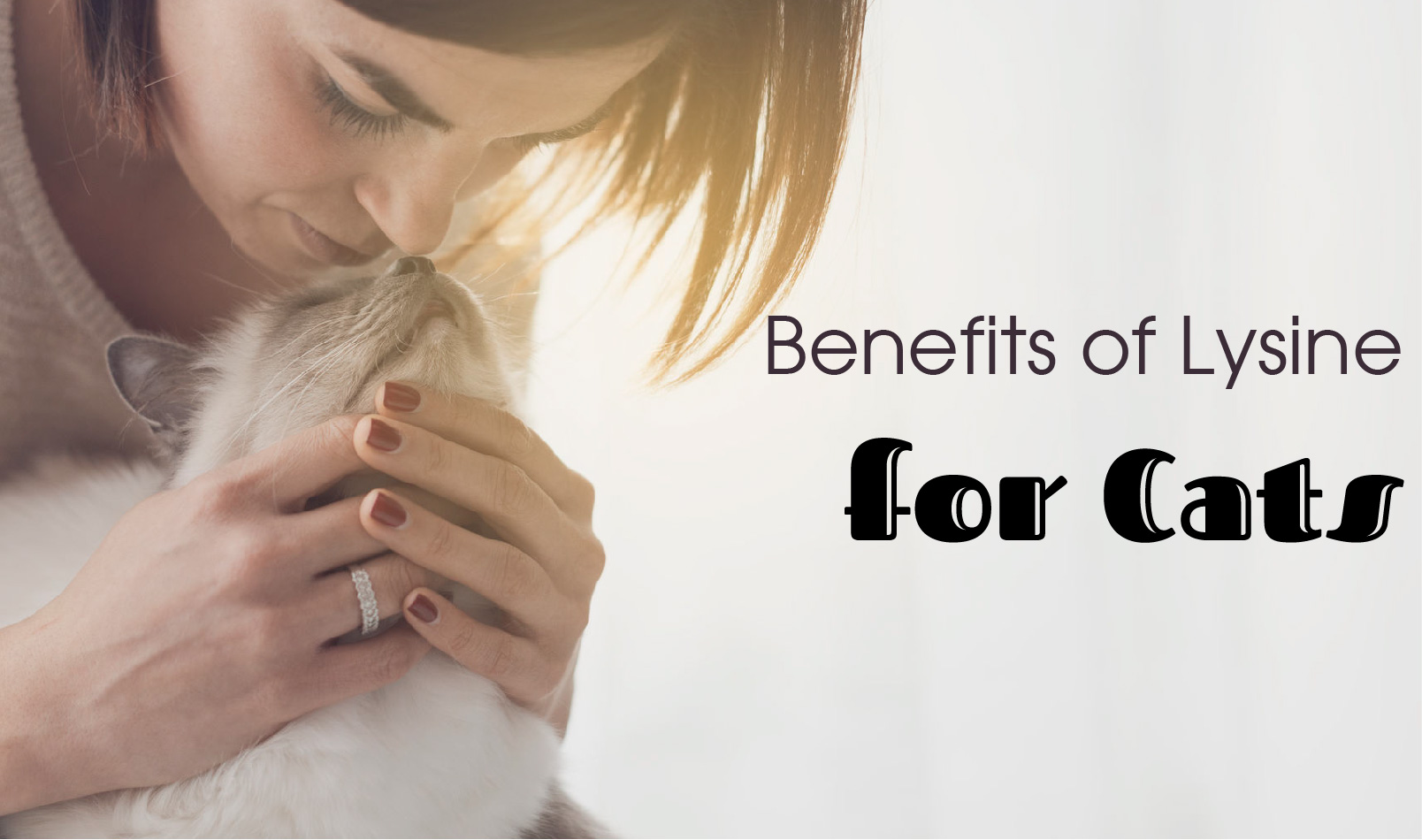 The Benefits of Lysine for Cats and Different Ways to Apply It