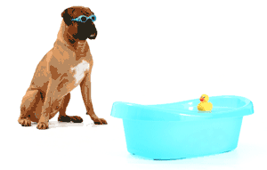 The Benefits of Do-It-Yourself Grooming