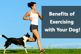 The Benefits of Exercising Your Dog