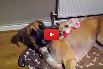 The Benefits Of Having Big Friends...