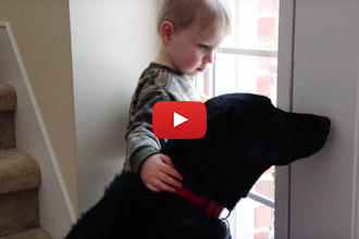 The Dog Is Moping By The Door So His Littlest Human Comes To The Rescue