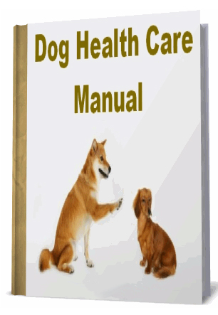 The Importance of Liver Health & SAMe