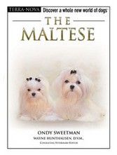 The Maltese - FREE DVD Inside The Maltese - FREE DVD Inside