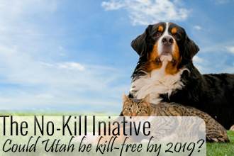 The No-Kill Initiative: Could Utah Be Kill-Free By 2019?