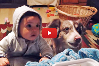 The Parents Are Trying To Teach The Baby To Say "Mama" But You'll Laugh At The Dog!