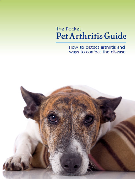 ARTHRITISGUIDE