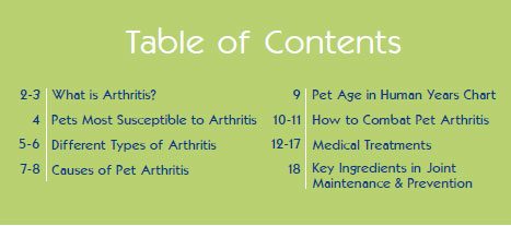 ARTHRITISGUIDE
