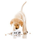 The Power of Joint MAX