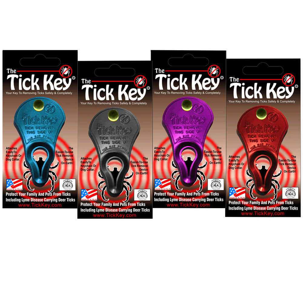 THETICKKEY