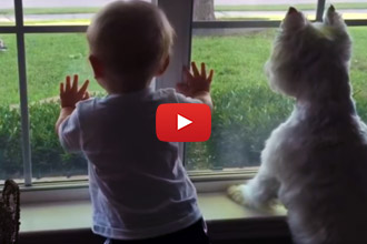There Is A Mysterious Animal In The Yard, Watch What The Dog And Baby Do!