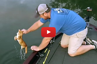 These Heroes Bring A Whole New Meaning To Catfishing