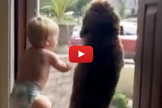 These Two Cuties Can't Wait For Daddy To Come Home!