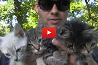 They Were Walking Through The Woods And Stumbled Across These Guys!