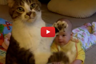 This Adorable Cat Loves His Cat-Sized Human and it's the Cutest Thing Ever!!