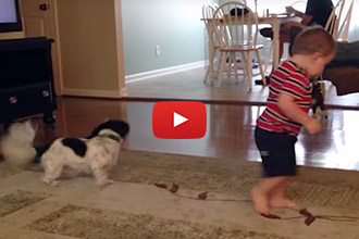 This Adorable Kid Learns How to Chase His Tail From His Canine Friend!