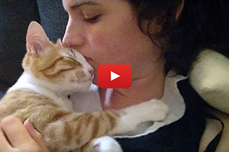This Adorable Kitty Loves Cuddling With Her Human!