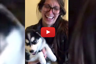 This Amazingly Adorable Talking Husky Knows How to Say "Mama!"