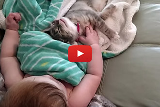 This Baby Takes A Nap With Her Kitten... The Result Is Adorable