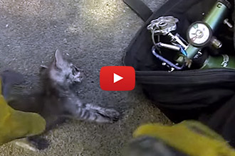 This Building Was Filled With Smoke, But What They Found Inside Was Worth Saving