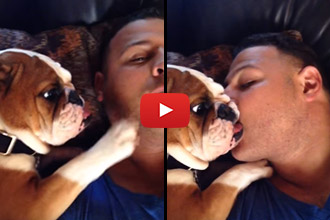This Bulldog Wants Kisses, And How He Asks Is Too Cute!