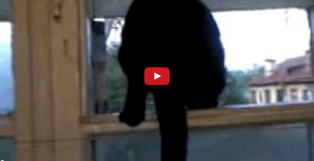 This Cat Barks Just Like A Dog! I Don't Believe My Ears!!