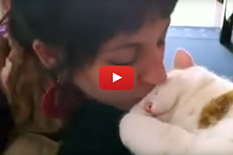 This Cat Responds To Kisses In The Cutest Way Possible!